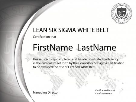 Formación Lean Six Sigma White Belt